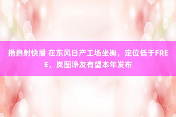 撸撸射快播 在东风日产工场坐褥，定位低于FREE，岚图诤友有望本年发布