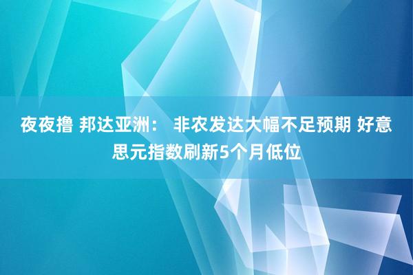 夜夜撸 邦达亚洲： 非农发达大幅不足预期 好意思元指数刷新5个月低位