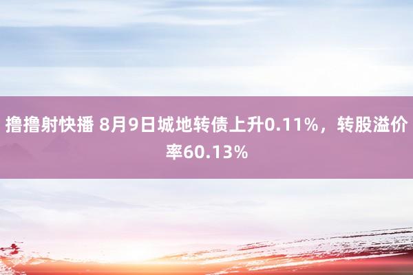 撸撸射快播 8月9日城地转债上升0.11%，转股溢价率60.13%