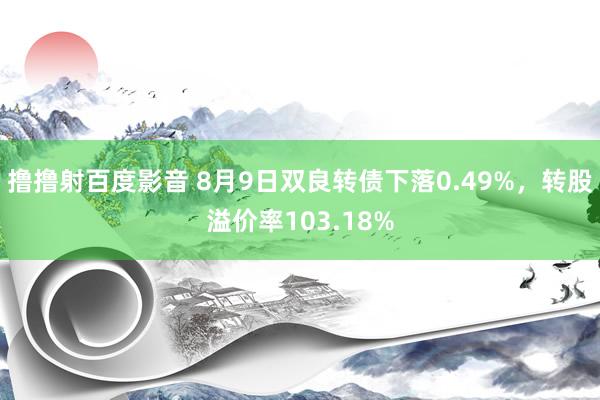 撸撸射百度影音 8月9日双良转债下落0.49%，转股溢价率103.18%