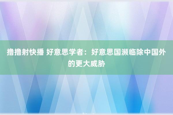 撸撸射快播 好意思学者：好意思国濒临除中国外的更大威胁