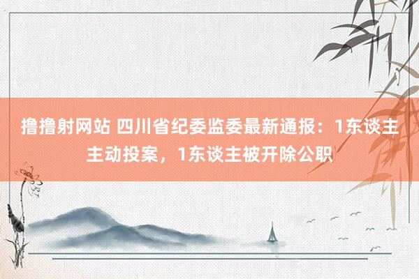 撸撸射网站 四川省纪委监委最新通报：1东谈主主动投案，1东谈主被开除公职