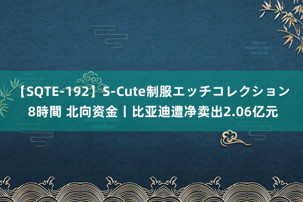 【SQTE-192】S-Cute制服エッチコレクション 8時間 北向资金丨比亚迪遭净卖出2.06亿元