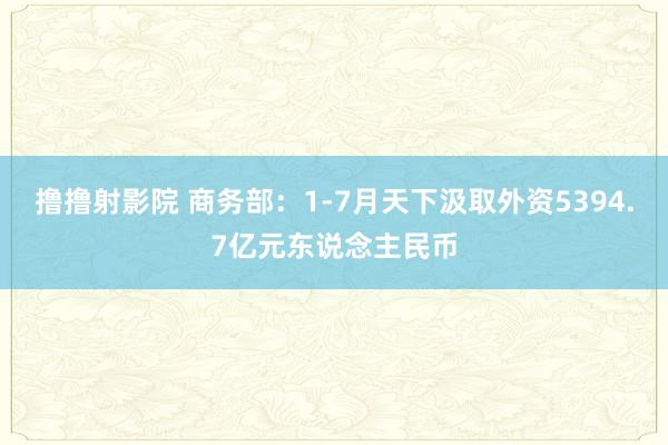 撸撸射影院 商务部：1-7月天下汲取外资5394.7亿元东说念主民币