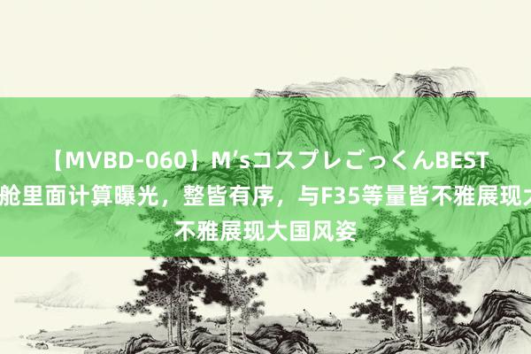 【MVBD-060】M’sコスプレごっくんBEST 歼20弹舱里面计算曝光，整皆有序，与F35等量皆不雅展现大国风姿