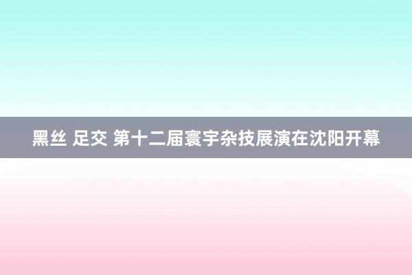 黑丝 足交 第十二届寰宇杂技展演在沈阳开幕