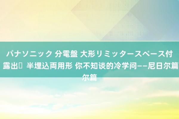 パナソニック 分電盤 大形リミッタースペース付 露出・半埋込両用形 你不知谈的冷学问——尼日尔篇