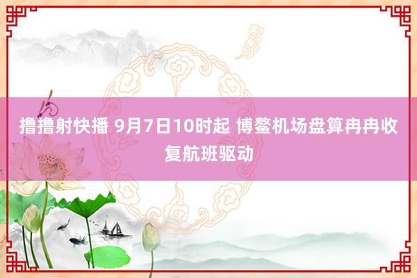 撸撸射快播 9月7日10时起 博鳌机场盘算冉冉收复航班驱动