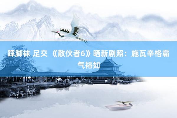 踩脚袜 足交 《散伙者6》晒新剧照：施瓦辛格霸气裕如