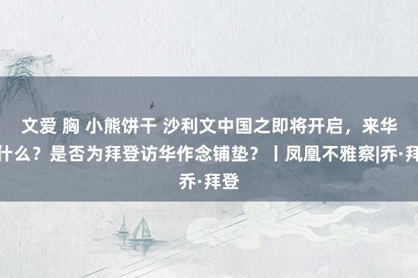 文爱 胸 小熊饼干 沙利文中国之即将开启，来华谈什么？是否为拜登访华作念铺垫？丨凤凰不雅察|乔·拜登