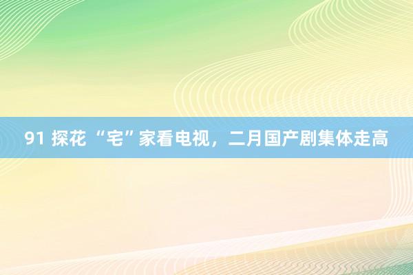 91 探花 “宅”家看电视，二月国产剧集体走高